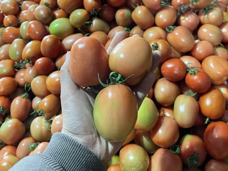 6+ thực phẩm đại kỵ với khoai lang ít ai biết-1.webp