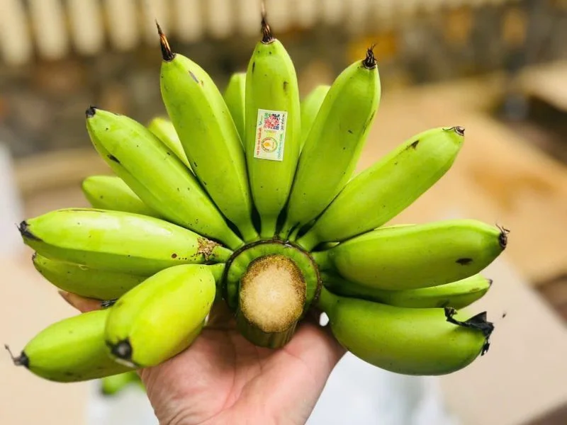 6+ thực phẩm đại kỵ với khoai lang ít ai biết-2.webp