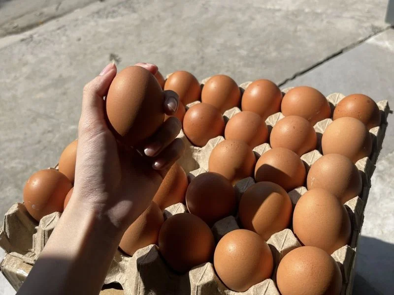 6+ thực phẩm đại kỵ với khoai lang ít ai biết-4.webp