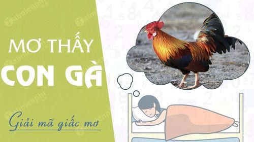 Nằm Mơ Thấy Con Gà Trống Đánh Số Mấy - Giải Mã Chi Tiết Và Số May Mắn