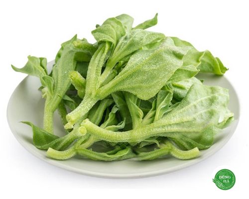 Bật mí nơi bán rau bông tuyết hiếm có khó tìm tại Việt Nam-1.jpg