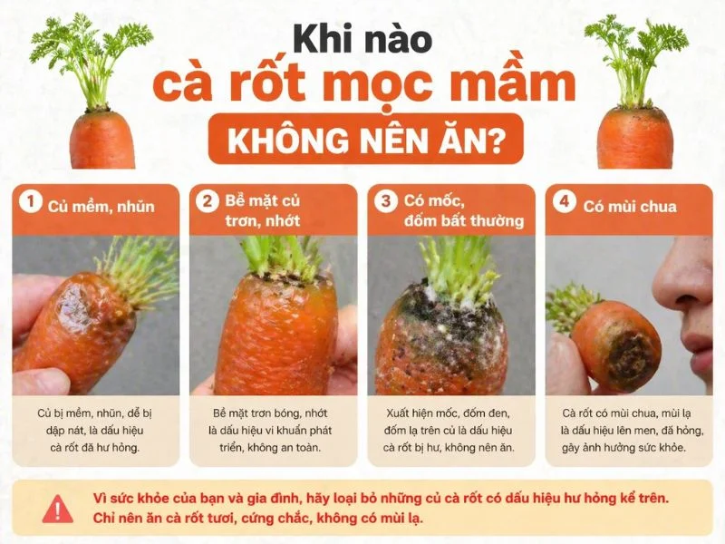 Cà rốt để lâu mọc mầm Ăn hay bỏ tốt hơn-2.webp