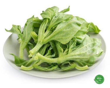 Bật mí nơi bán rau bông tuyết hiếm có khó tìm tại Việt Nam-1.jpg