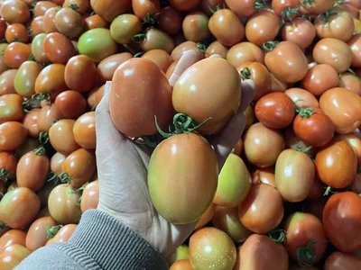 6+ thực phẩm đại kỵ với khoai lang ít ai biết-1.webp