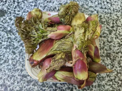 Tại sao nhiều người đổ xô mua rau mầm gai Đọc ngay-2.webp