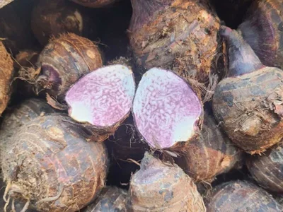 Tổng hợp các loại khoai ngon rẻ dễ mua nhất-4.webp