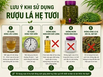 Cách ngâm rượu lá hẹ đúng chuẩn uống là thấy rõ-2.webp