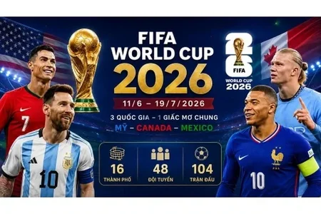 1781312312548.webp