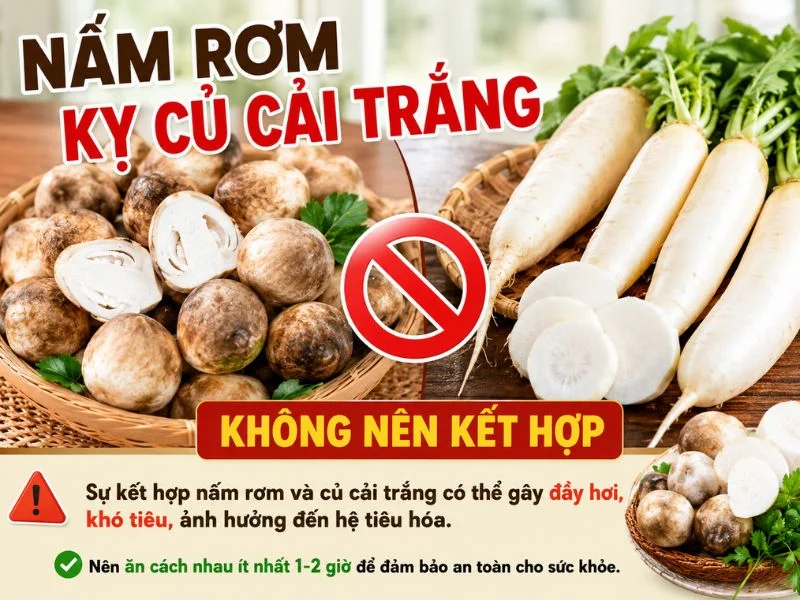 Sai lầm khi ăn nấm rơm khiến cơ thể khó hấp thụ dinh dưỡng-5.webp