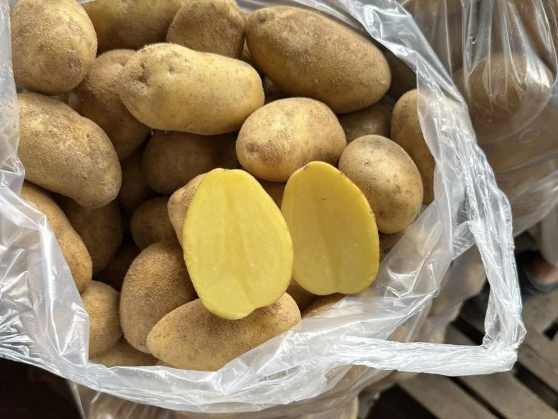 Tổng hợp các loại khoai ngon rẻ dễ mua nhất-2.webp