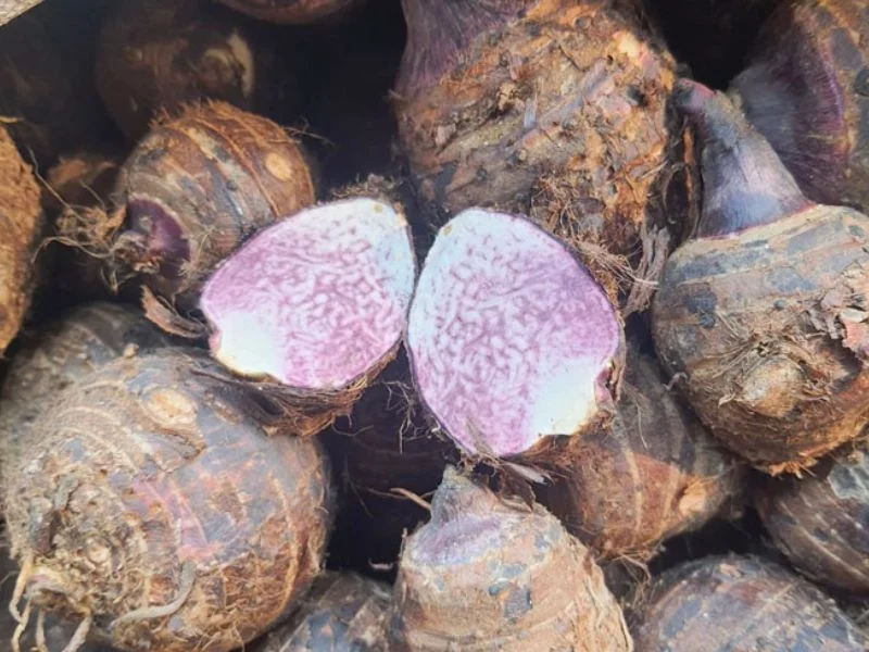 Tổng hợp các loại khoai ngon rẻ dễ mua nhất-4.webp