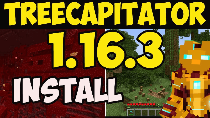 treecapitator 1.16.3-1.png